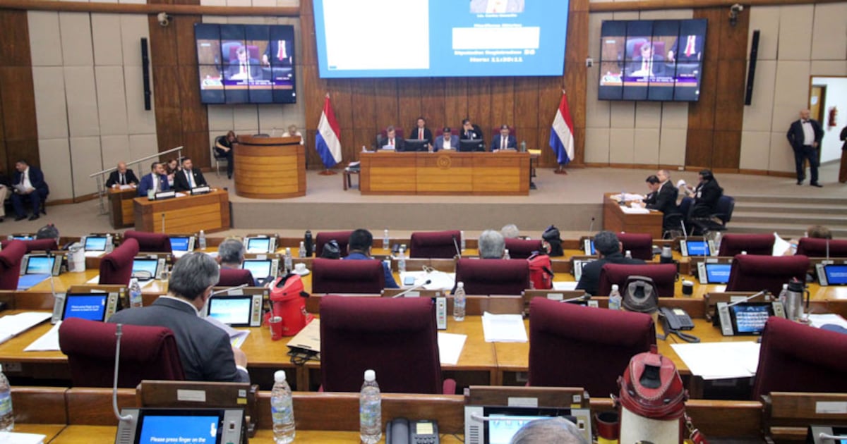 Diputados crea comisión especial para controlar pago de la deuda pública