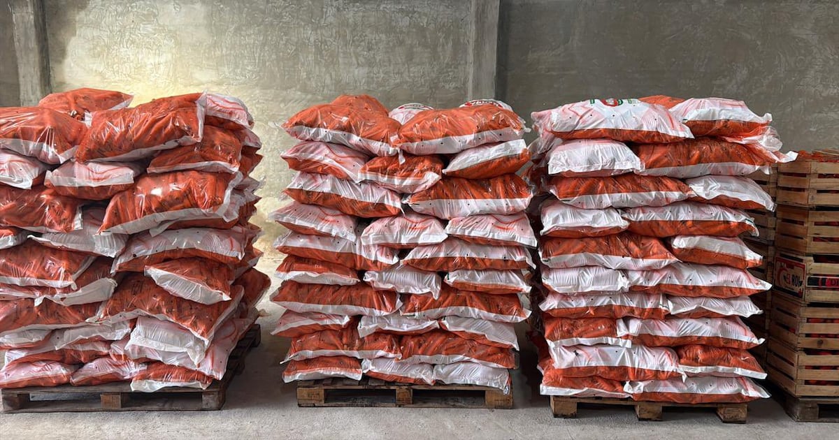 Control derivó en la incautación de  miles de kilos de productos frutihortícolas