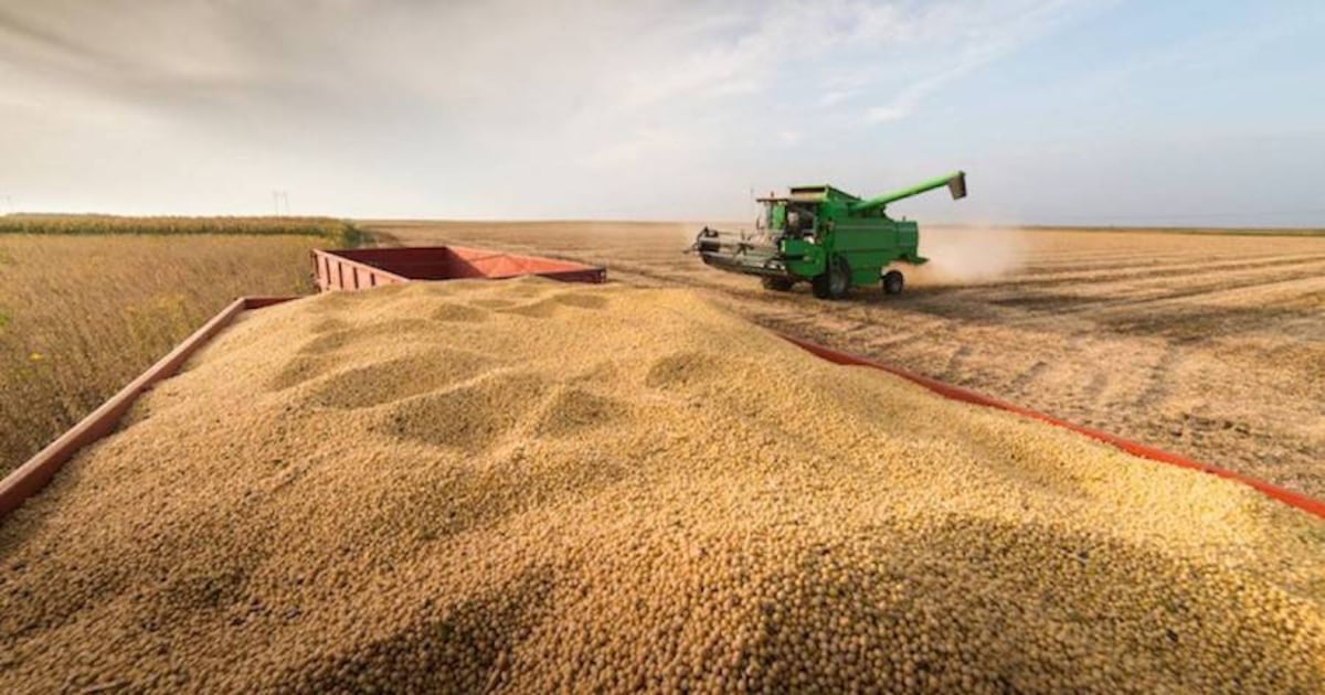 Exportaciones de soja crecen 37 % y generan USD 800 millones más hasta marzo
