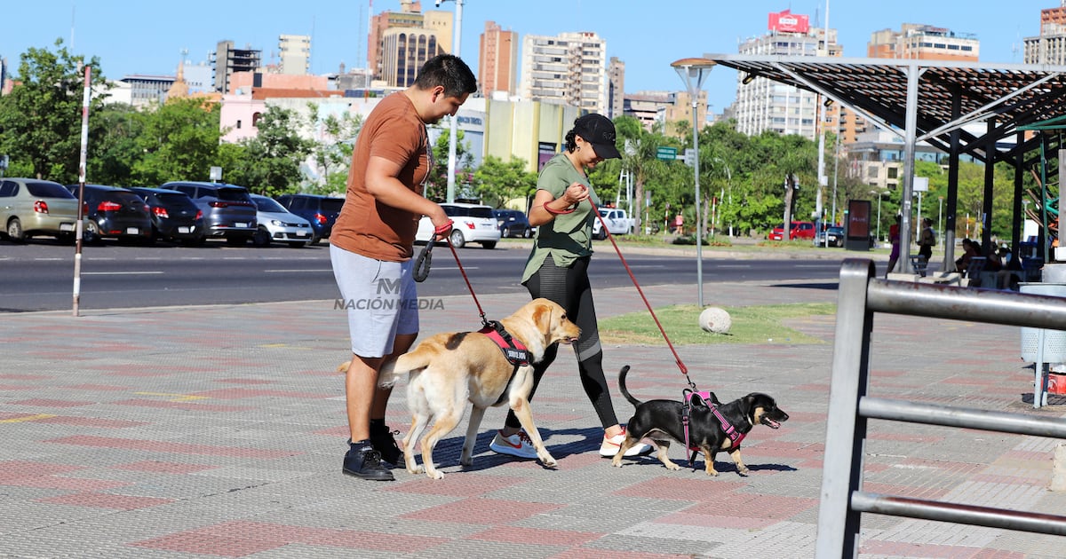 Meteorología anuncia una jornada cálida y calurosa para hoy sábado