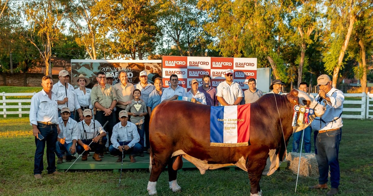 “Don Benja” se impuso en la Nacional Braford y empuja competitividad del sector ganadero