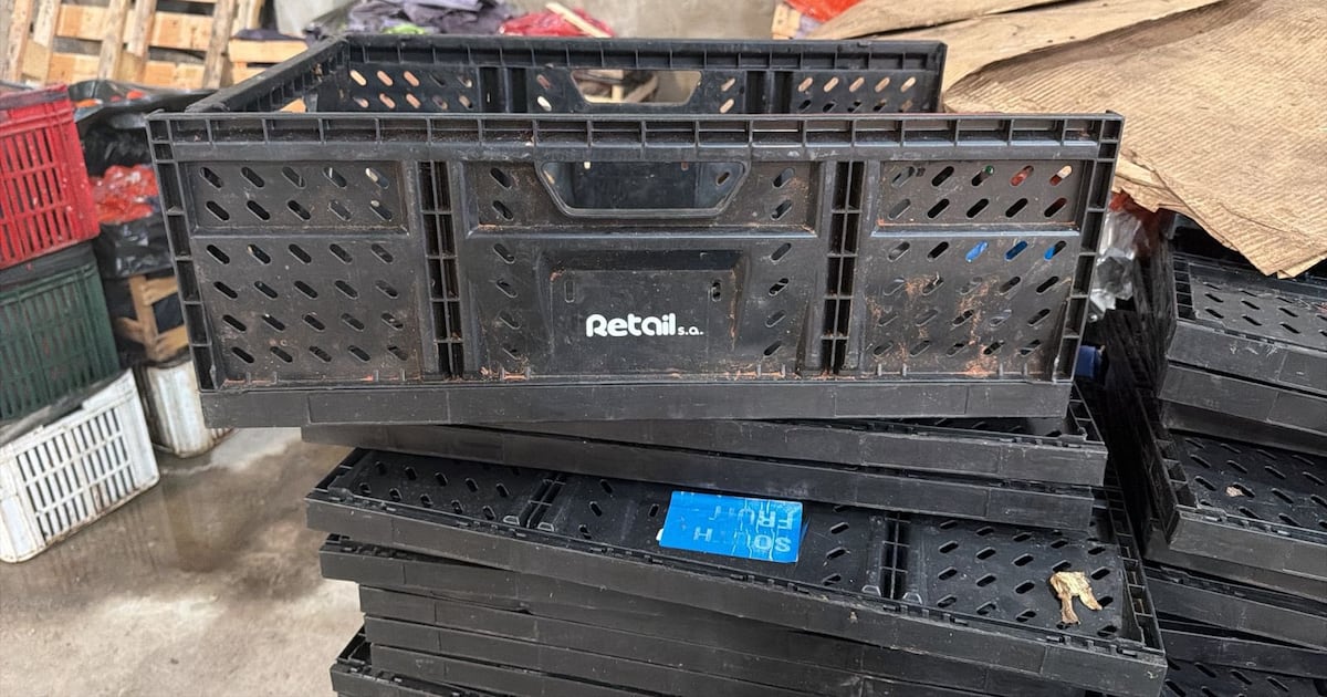 Productos frutihortícolas: DNIT ratifica contrabando y Grupo Vierci tendrá que defenderse