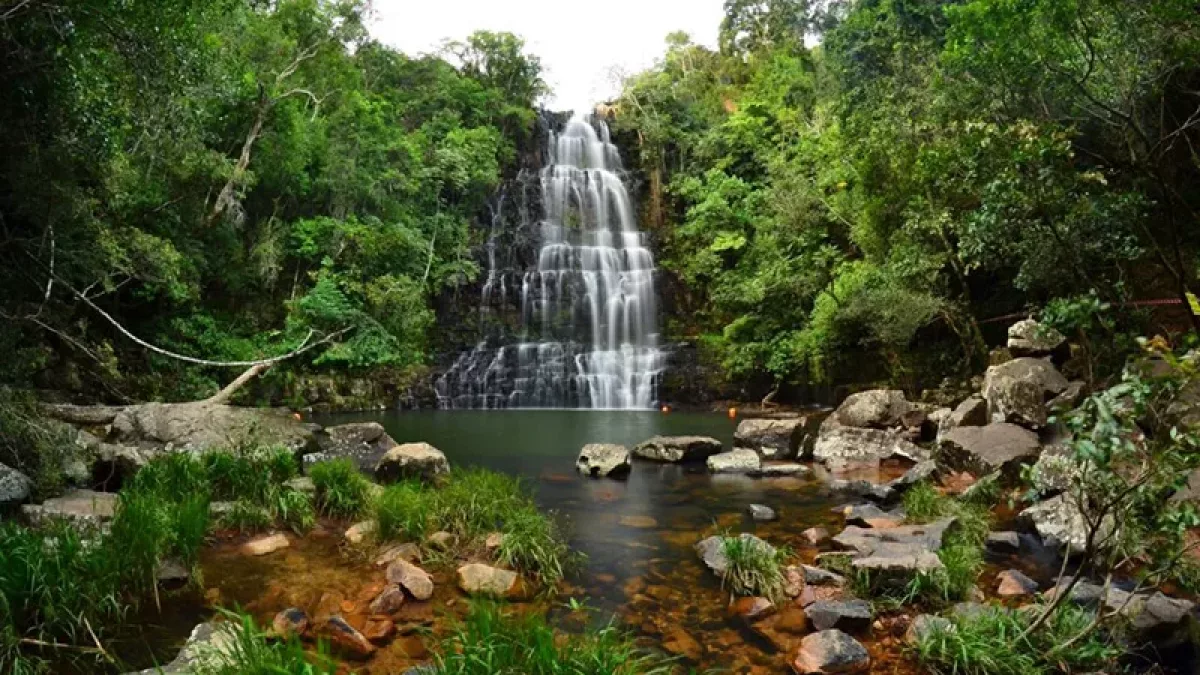 Turismo sostenible mueve decisiones y abre nichos para Paraguay