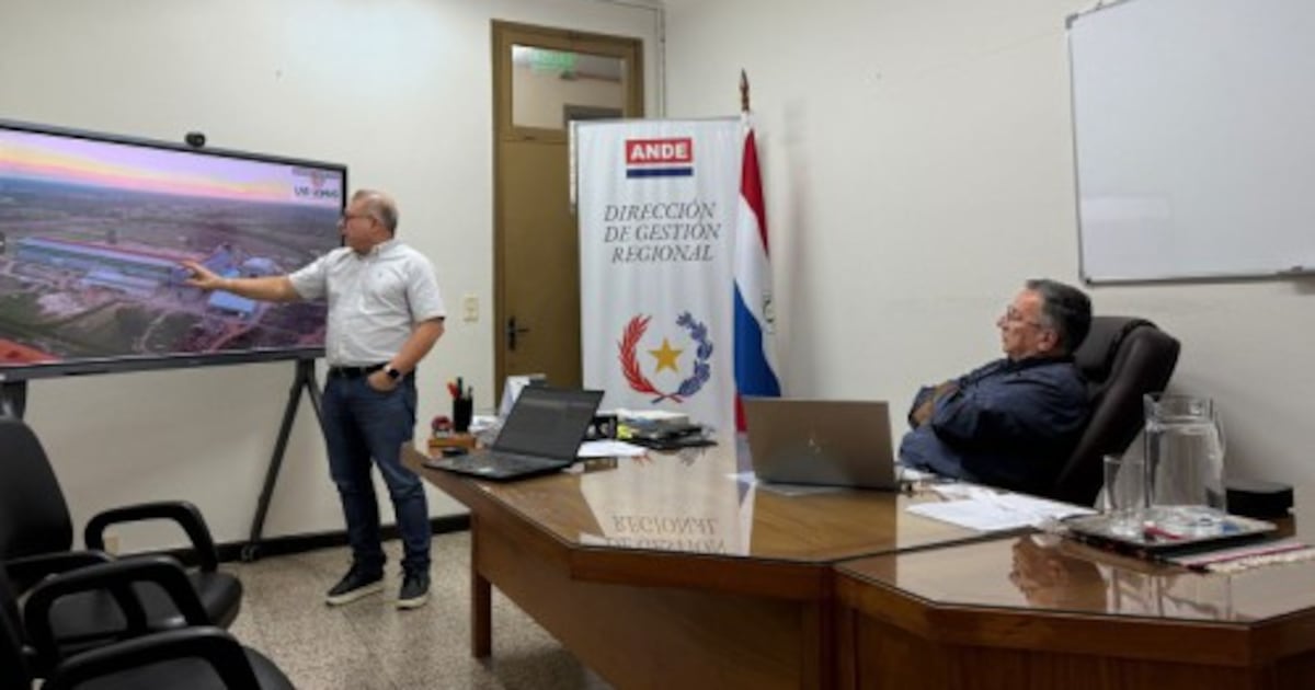 Empresas de Bolivia y Paraguay evalúan condiciones energéticas para proyectos industriales