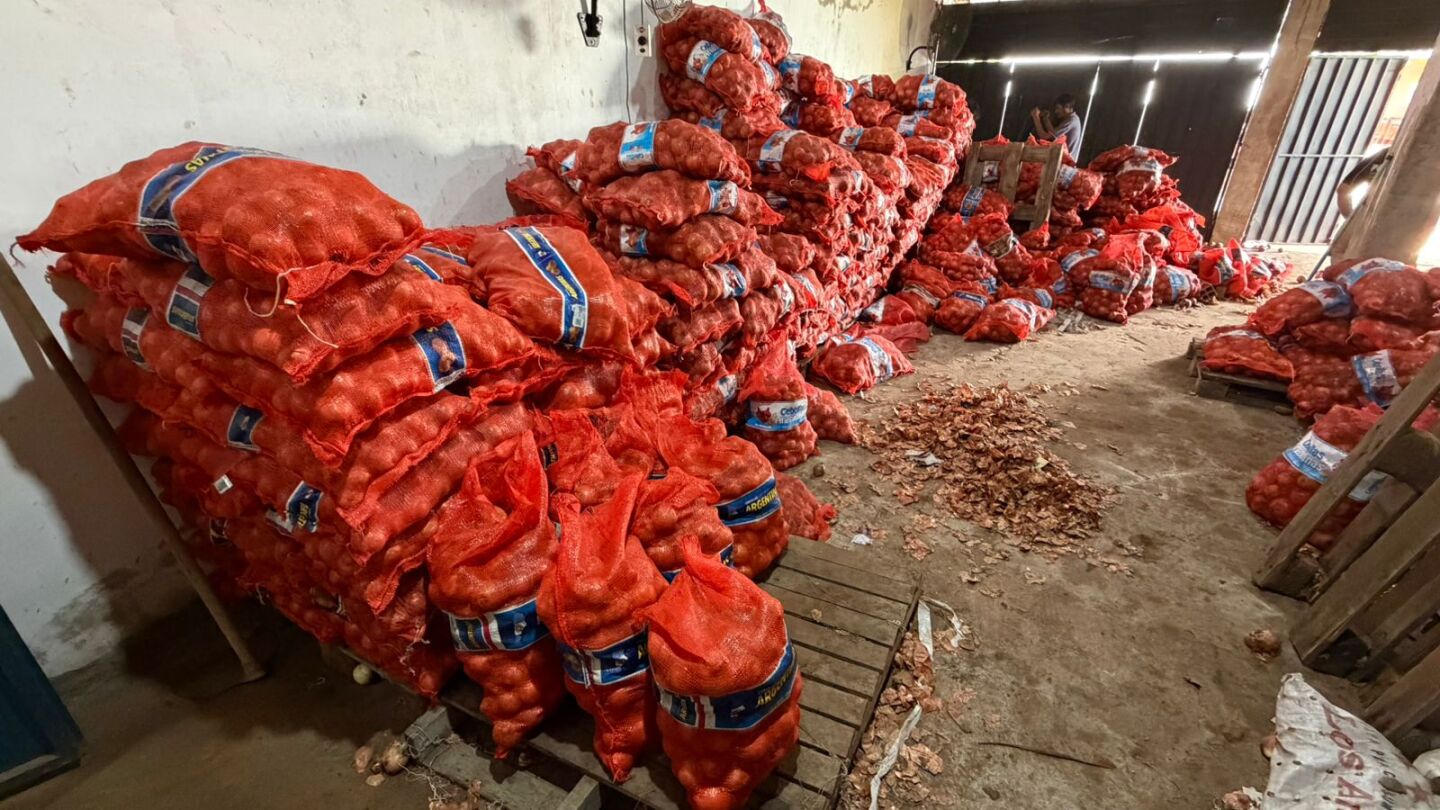 Incautan 12.000 kilos de cebollas y papas
