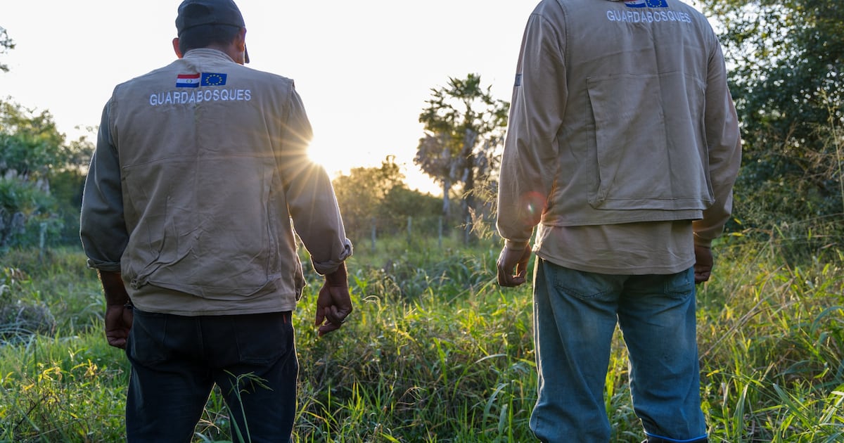 Paraguay avanza en la estructuración de acuerdos de carbono con Singapur