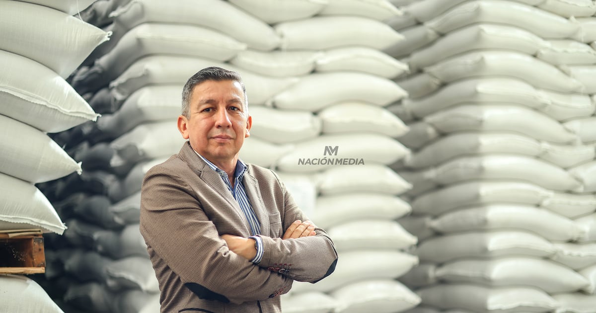 El sésamo paraguayo mantiene competitividad internacional con presencia en 40 mercados