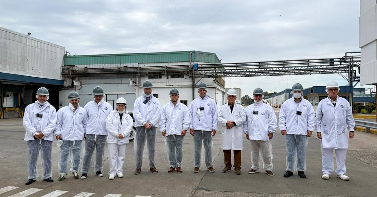 Paraguay apunta a conquistar el mercado porcino argentino tras histórica apertura