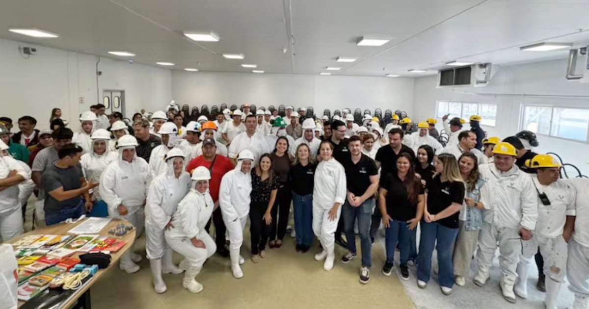 Hippy se instala en el Frigorífico Victoria