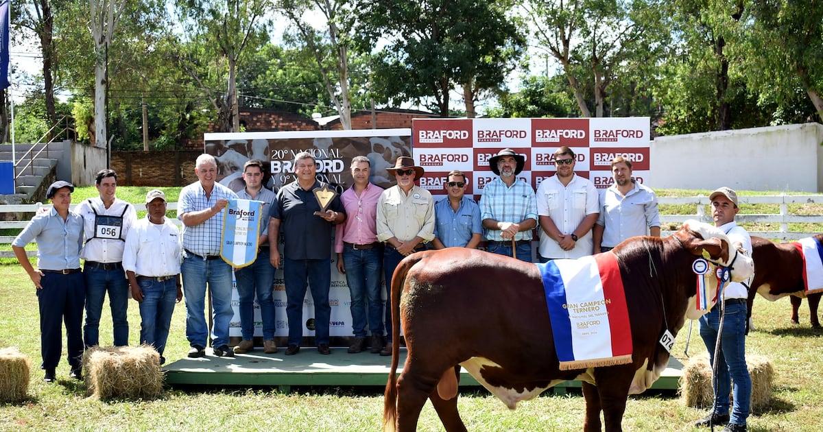 Ventas por más de G. 6.100 millones en Nacional de braford respaldan firmeza del negocio