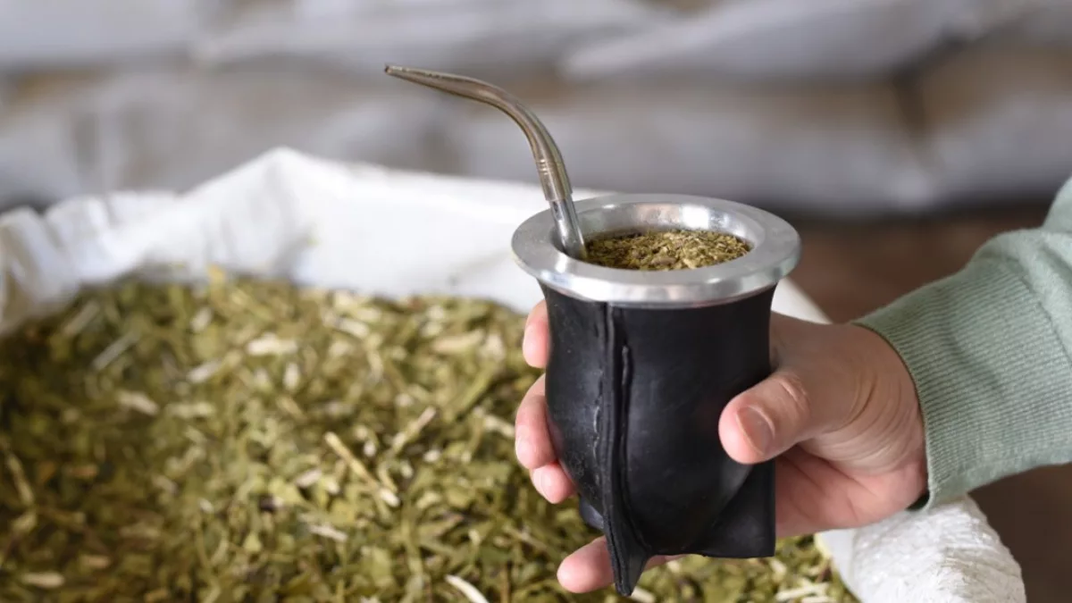 Del mate tradicional al ready-to-drink: cómo evoluciona la yerba mate en el mercado global del wellness