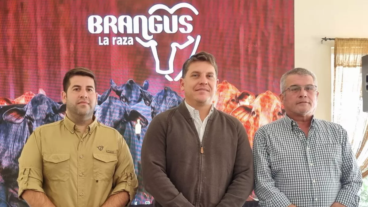 “Queremos estar más cerca del socio productor”: Brangus activa su Nacional con 835 animales y negocios por más de G. 3.000 millones