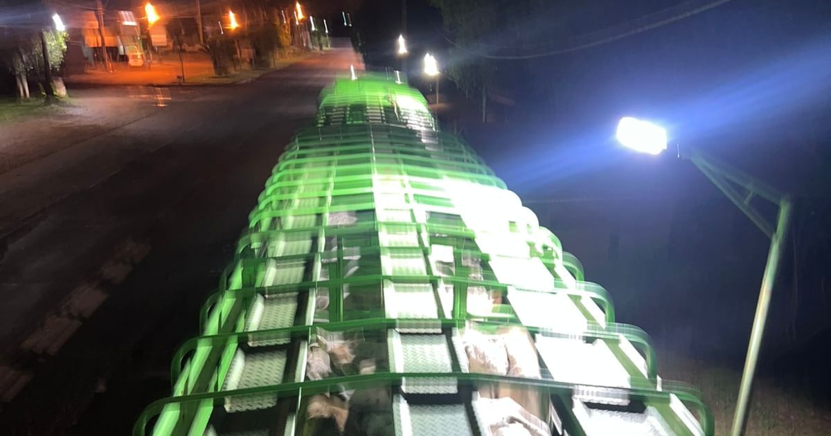Minga Porá: incautaron un camión con 75 vacas por falta de documentos