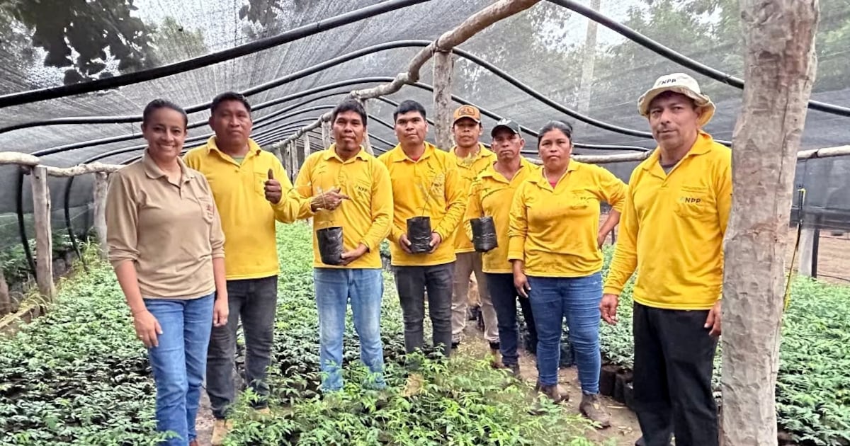 Comunidad ayoreo protagoniza modelo productivo en Boquerón