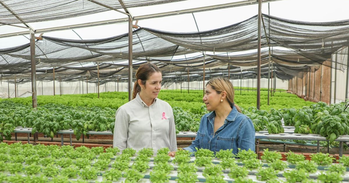 CAH ofrece “Jepytaso Mujer” para fortalecer el tejido productivo de emprendedoras