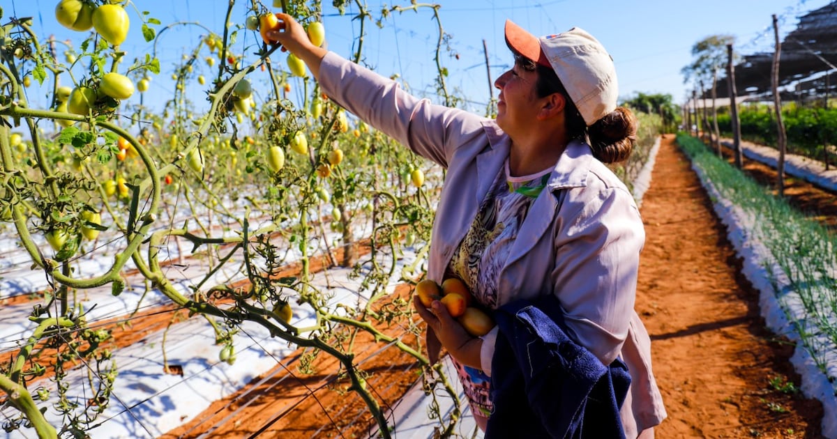 El sector agropecuario genera más de 10.500 empleos en el primer trimestre