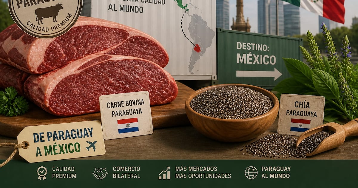 ¿Por qué el mercado mexicano es importante?