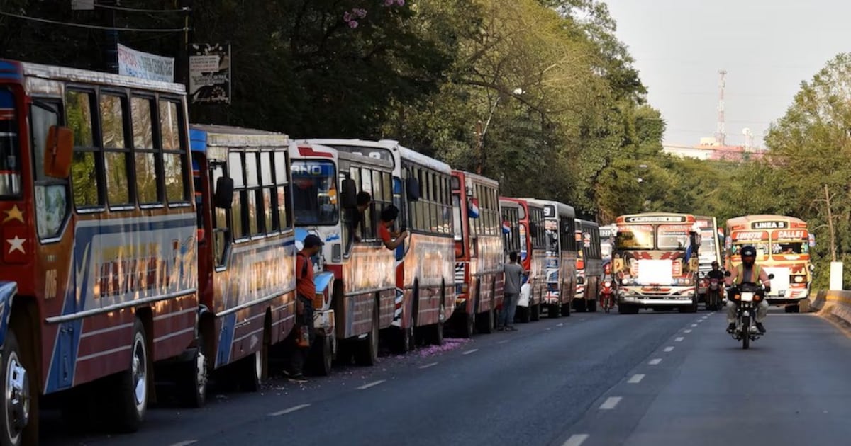 Anuncian licitación en junio para renovación del transporte