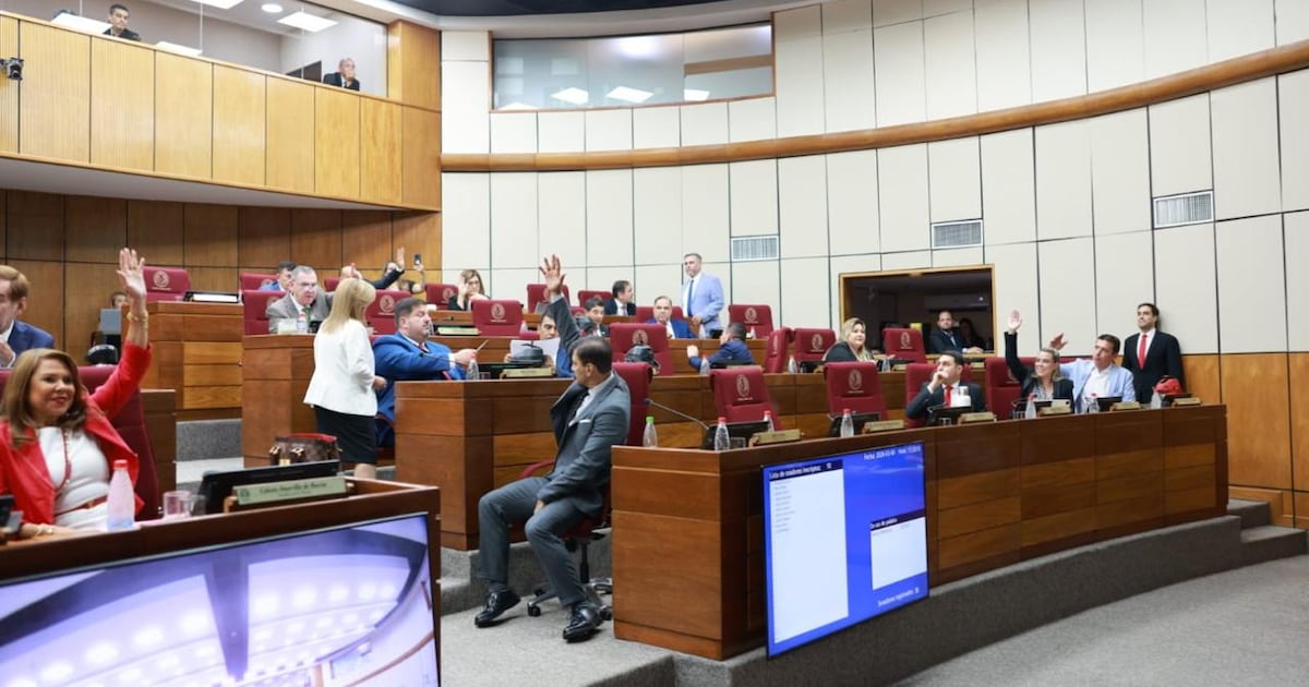 Senado redefine Caja Parlamentaria con ajustes, elevando la edad de jubilación y sin aporte estatal