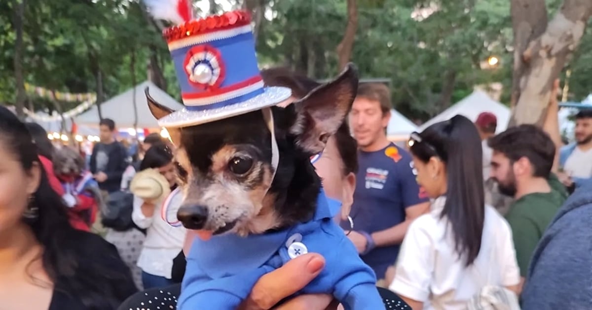 Convocan al desfile de mascotas “Jagua Patriota 2026”