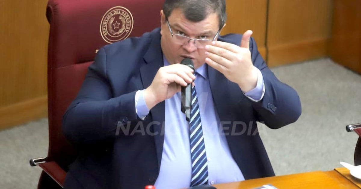 Oposición: Amarilla ya sondea un candidato para la vicepresidencia de la República