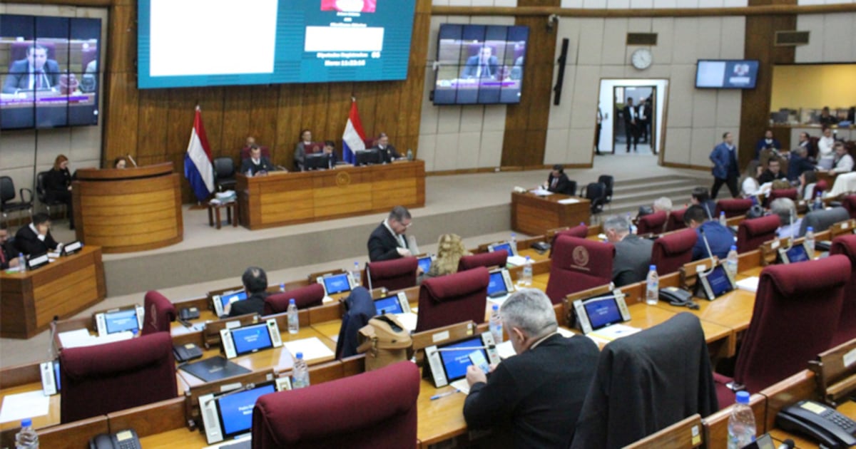 Diputados aprueba proyecto que declara emergencia en el IPS