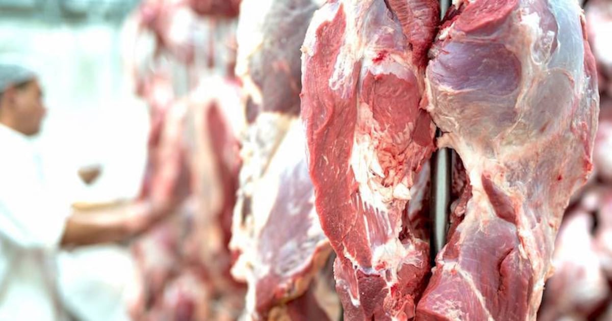 Primeros envíos de carne a la Unión Europea podrían concretarse en junio