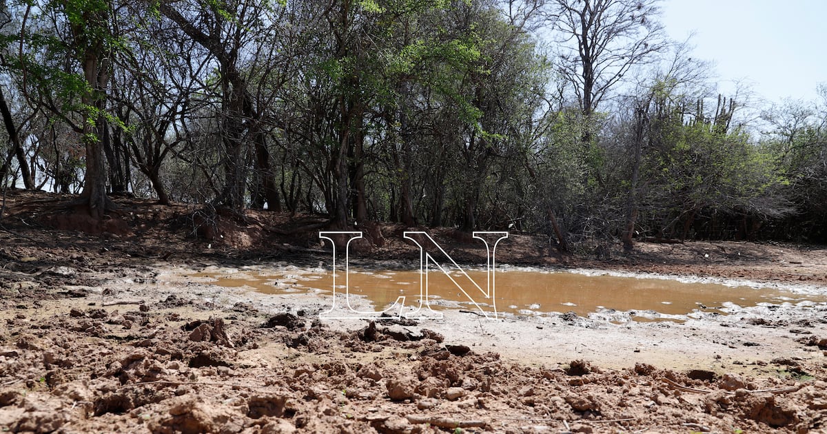 Existe preocupación mundial por posible fenómeno de El Niño extremo