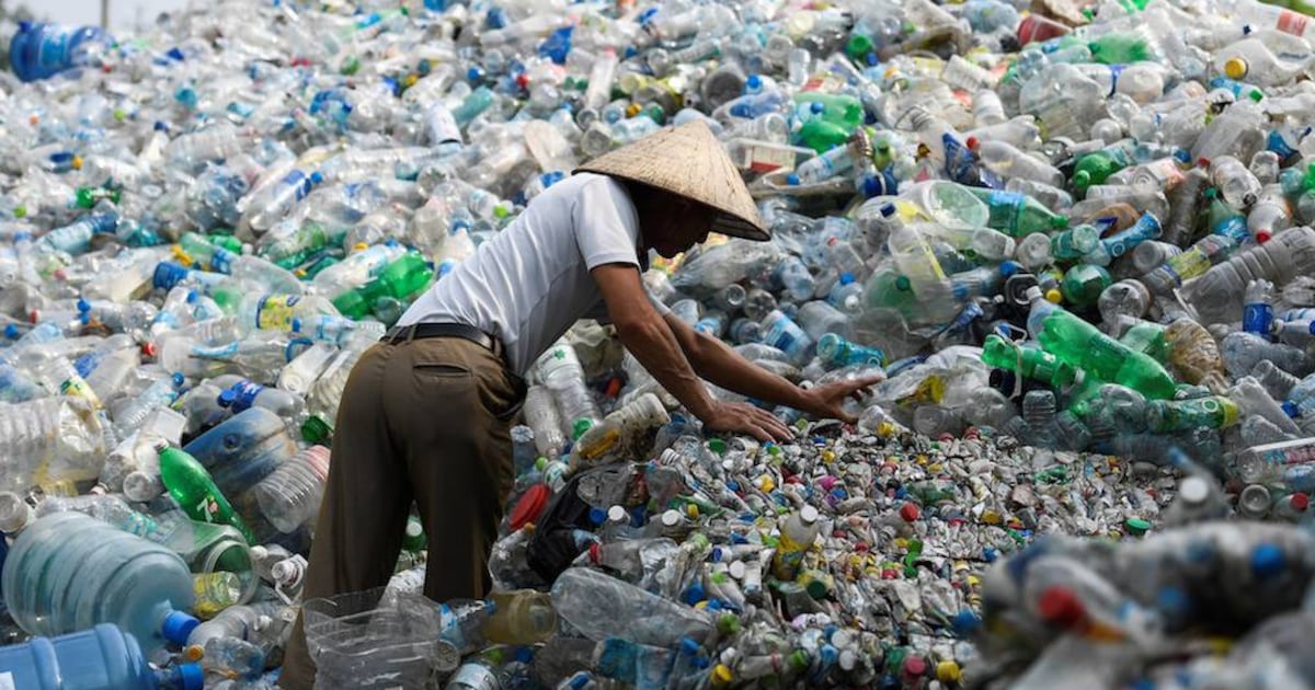 Industria del reciclaje en Paraguay procesa 200.000 t de materiales al año e impulsa millonarias inversiones