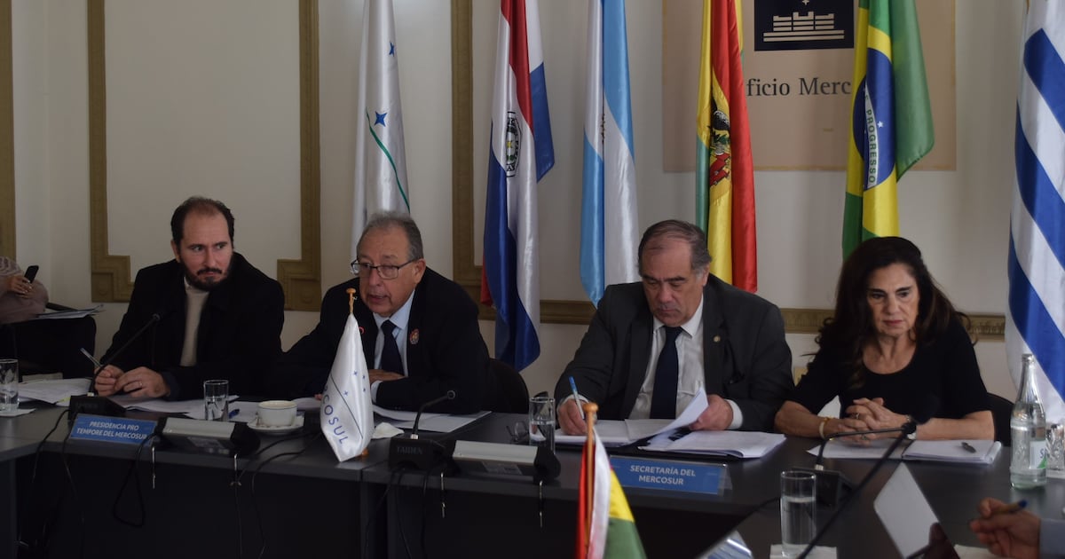 Comisión de Representantes del Mercosur anunció más obras al celebrar 300 reuniones