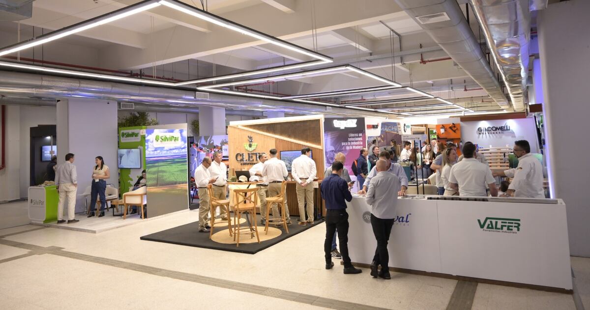 Preparan Expo Madera, una vidriera de las oportunidades en inversión forestal