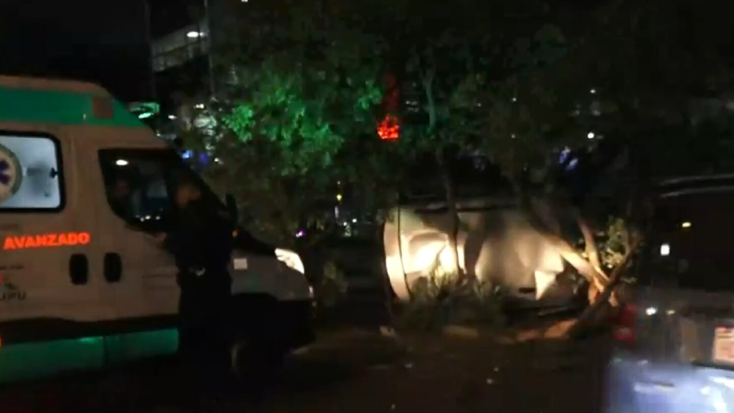 Automovilista choca contra árbol de paseo central y vuelca en Asunción