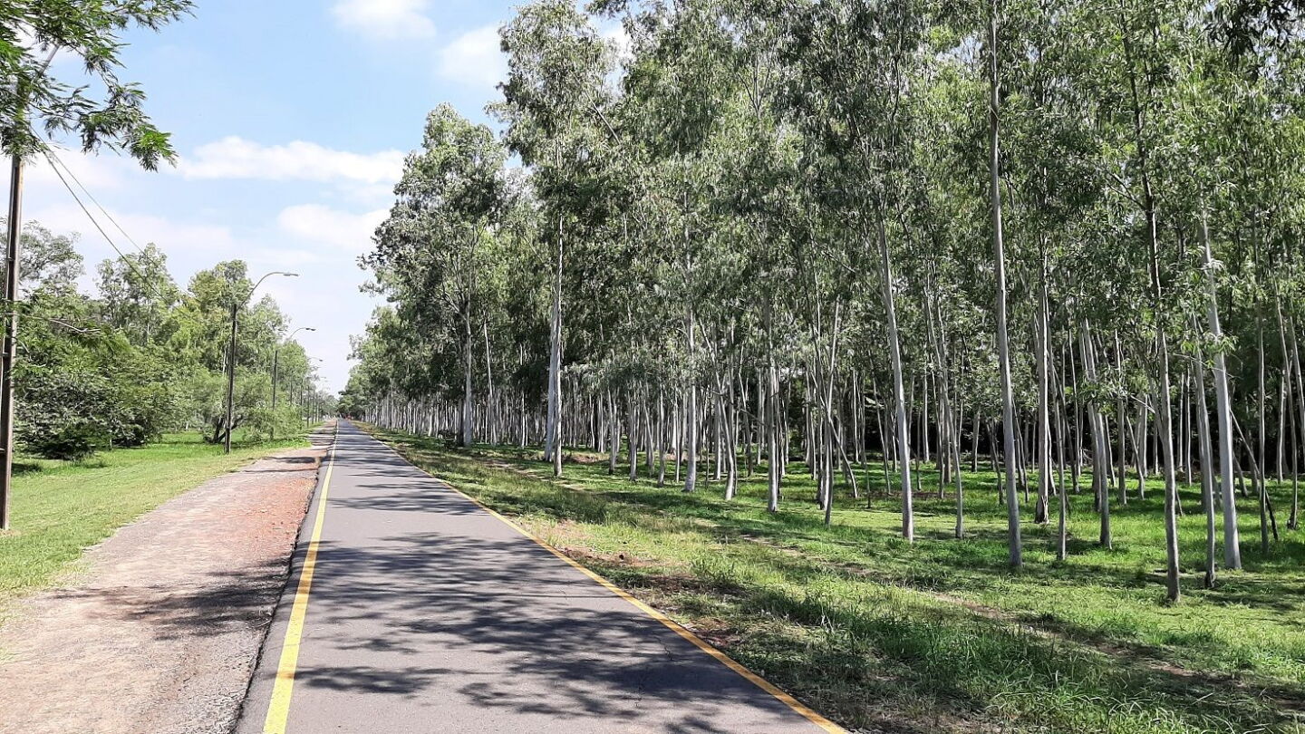 Jueves frío a fresco, con vientos del sureste y cielo mayormente nublado