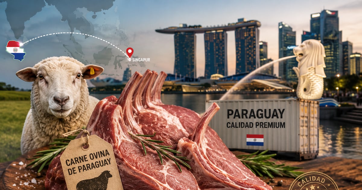 Una nueva puerta premium para la carne ovina