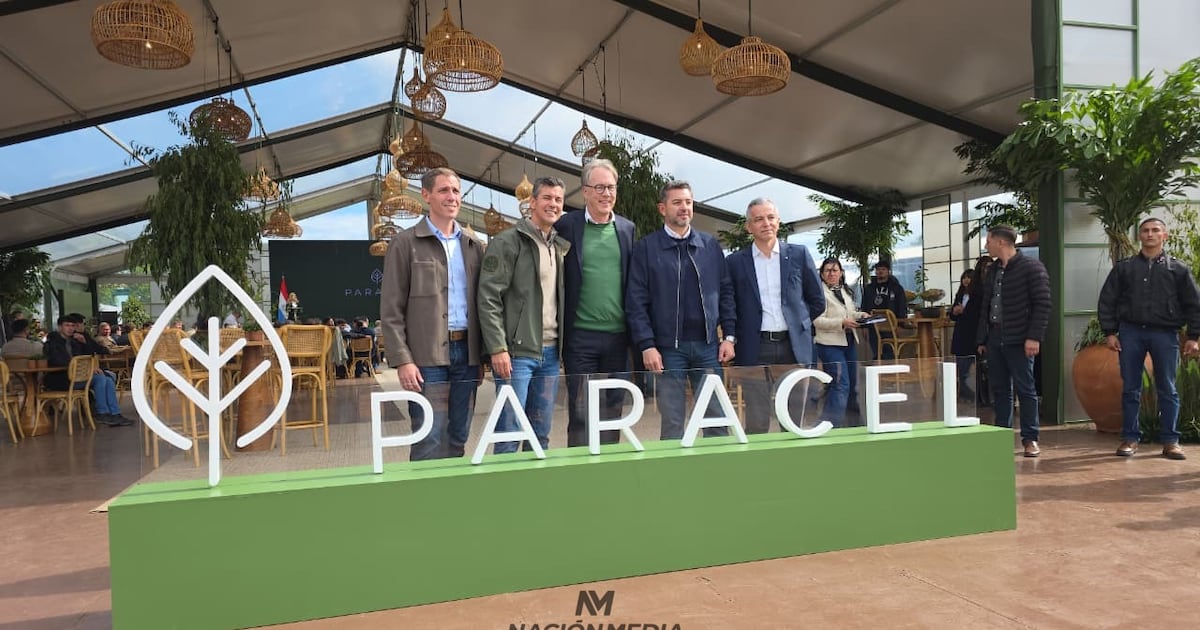 Concepción se convierte en el nuevo corazón industrial forestal del Paraguay