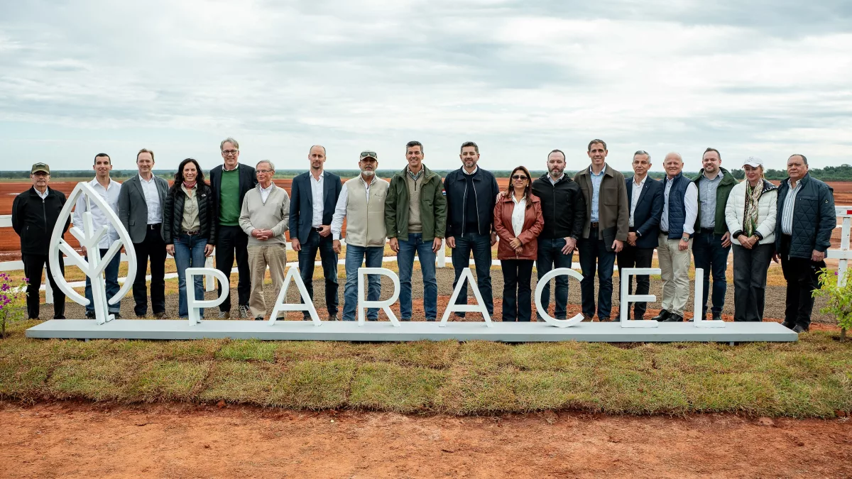 Paracel inicia obras de infraestructura para polo industrial y primera planta de celulosa