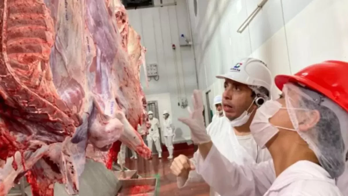 Paraguay busca completar el mapa norteamericano de la carne con la habilitación del mercado mexicano