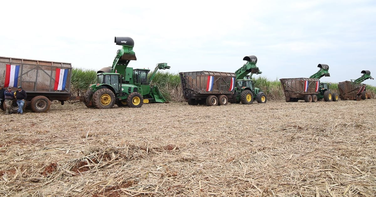 Inicia la zafra 2026 con inversión para productores cañeros