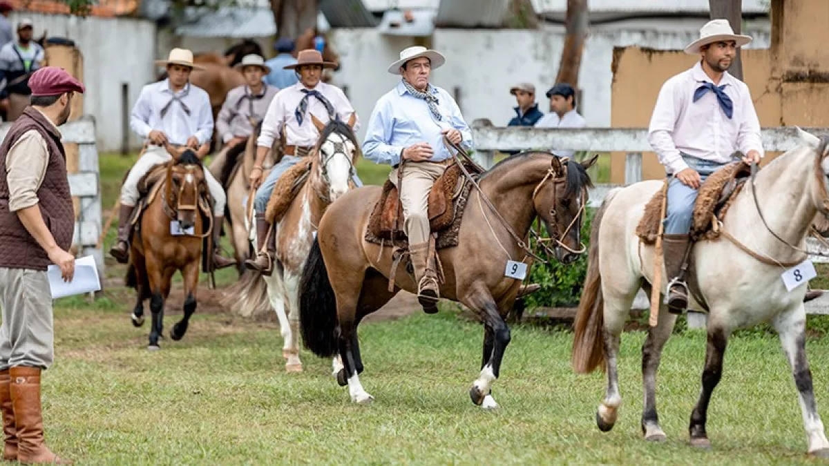Expo Nacional Otoño 2026: Criadores de Caballos Criollos preparan remate con 130 animales