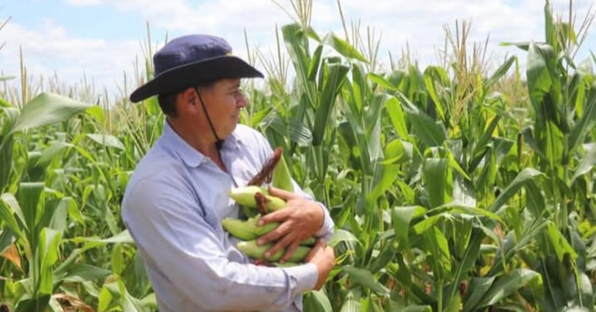 BCP reporta variación de 0,1% en Índice de Precios del Productor en abril