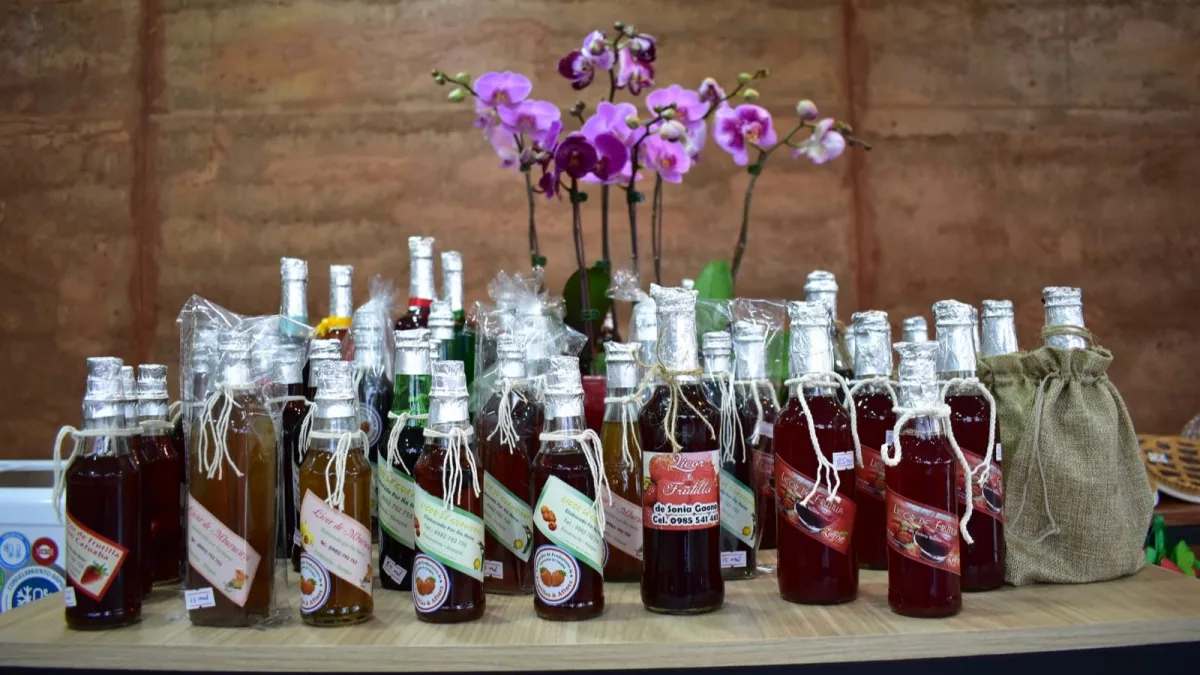Frutilleros de Estanzuela estrenan showroom de G. 1.000 millones para vender más y mejor (durante todo el año)