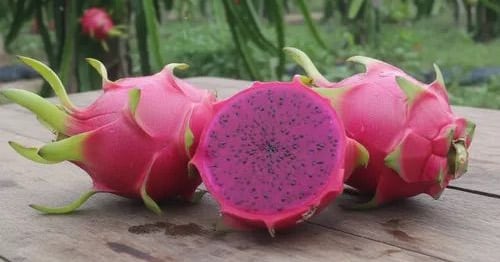 Fruticultura se eleva a mercados premium