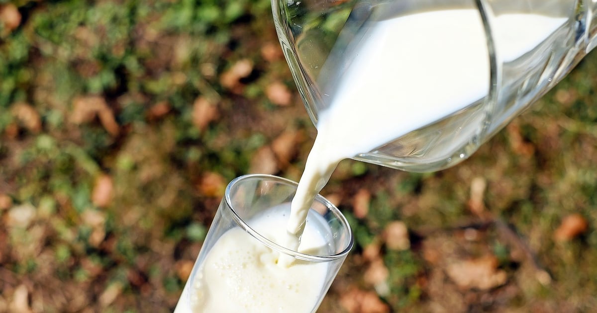 Día Mundial de la Leche: una industria que genera empleo, inversión y desarrollo