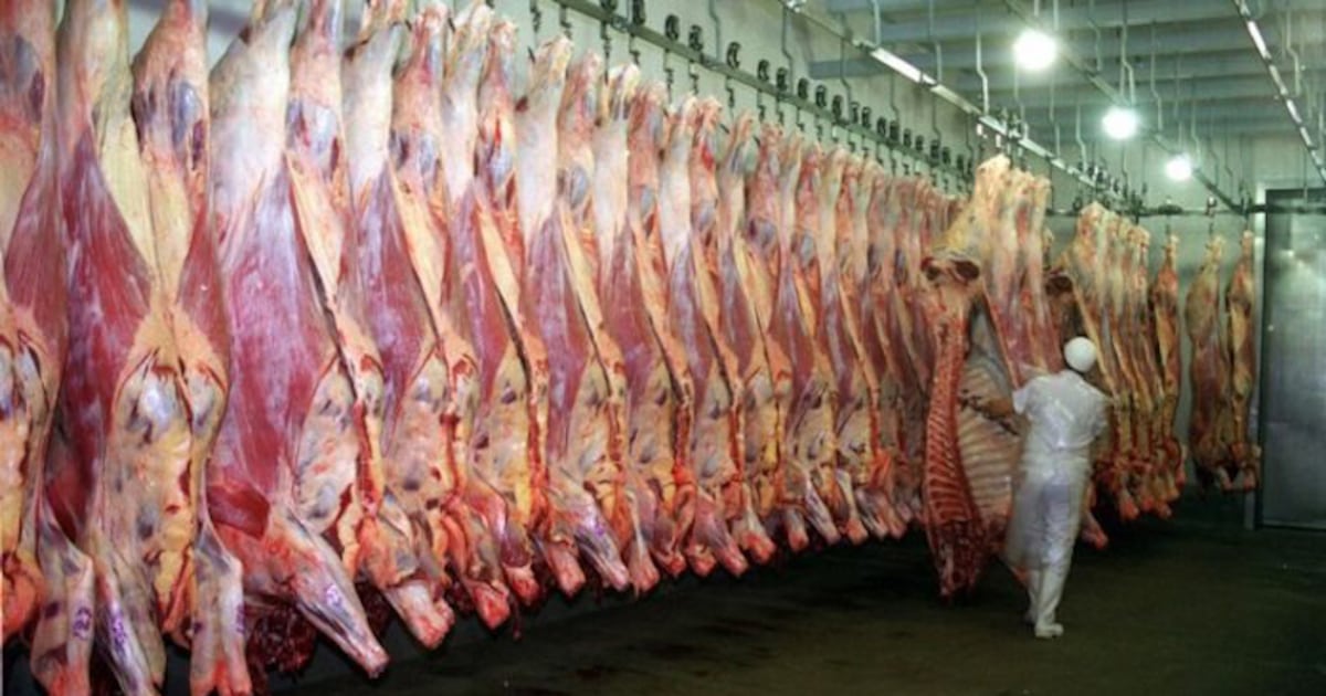 Exportaciones cárnicas generaron USD 930 millones en los primeros cinco meses del año