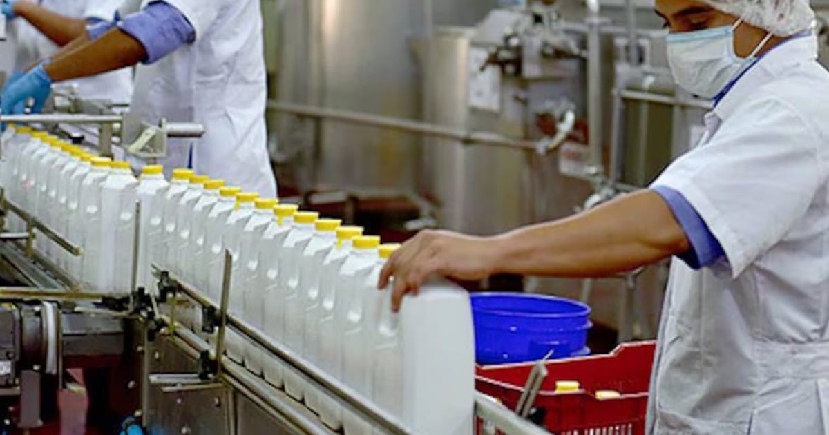 MAG destaca el crecimiento estratégico del sector lácteo paraguayo