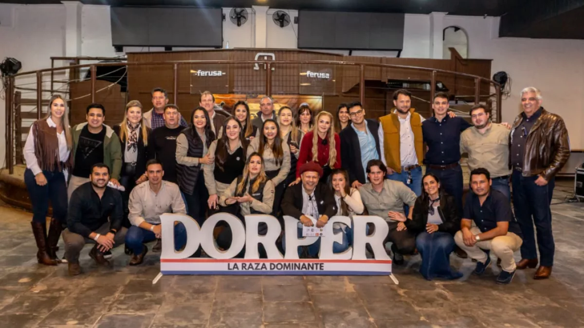La oveja que vale como un Mercedes: una Dorper de seis meses se vendió por US$ 18.000