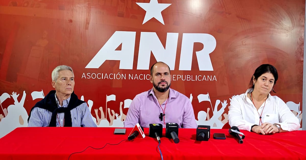 Tribunal electoral de la ANR estima participación entre el 37 al 40 %