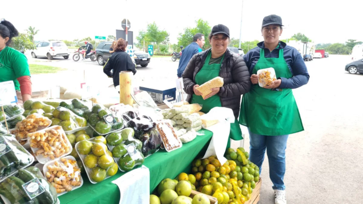 Berenjena en alza y nuez de estación: los rubros que diversifican una finca
