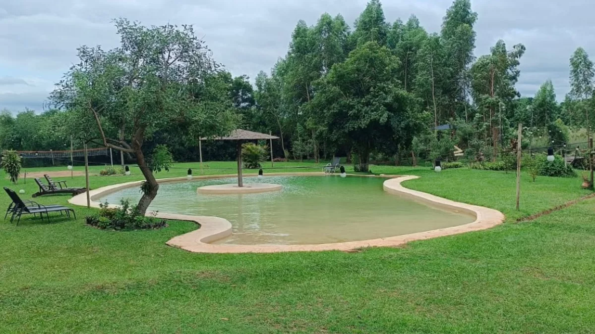 Un oasis en Nueva Italia: la experiencia de bañarse en una piscina alimentada por agua de naciente natural