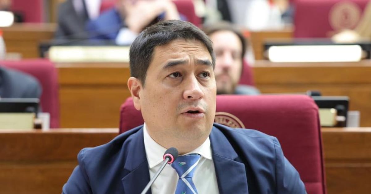 Nakayama confirma su aspiración presidencial para el 2028